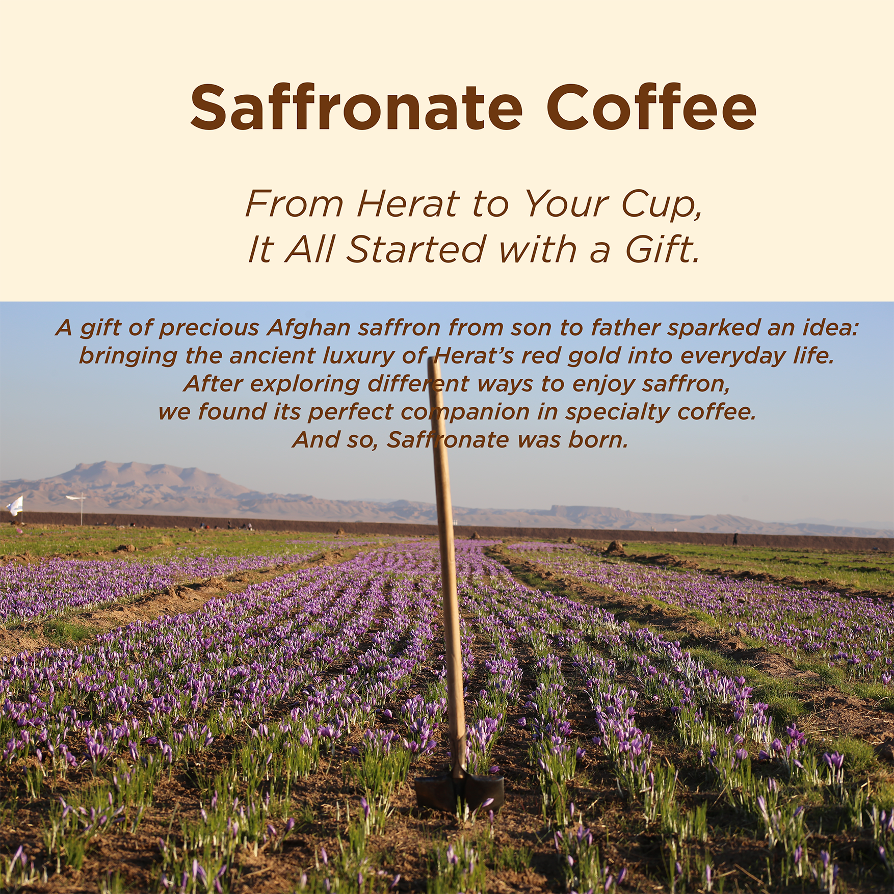 Saffronate Coffee Tasting Flight - Image 5